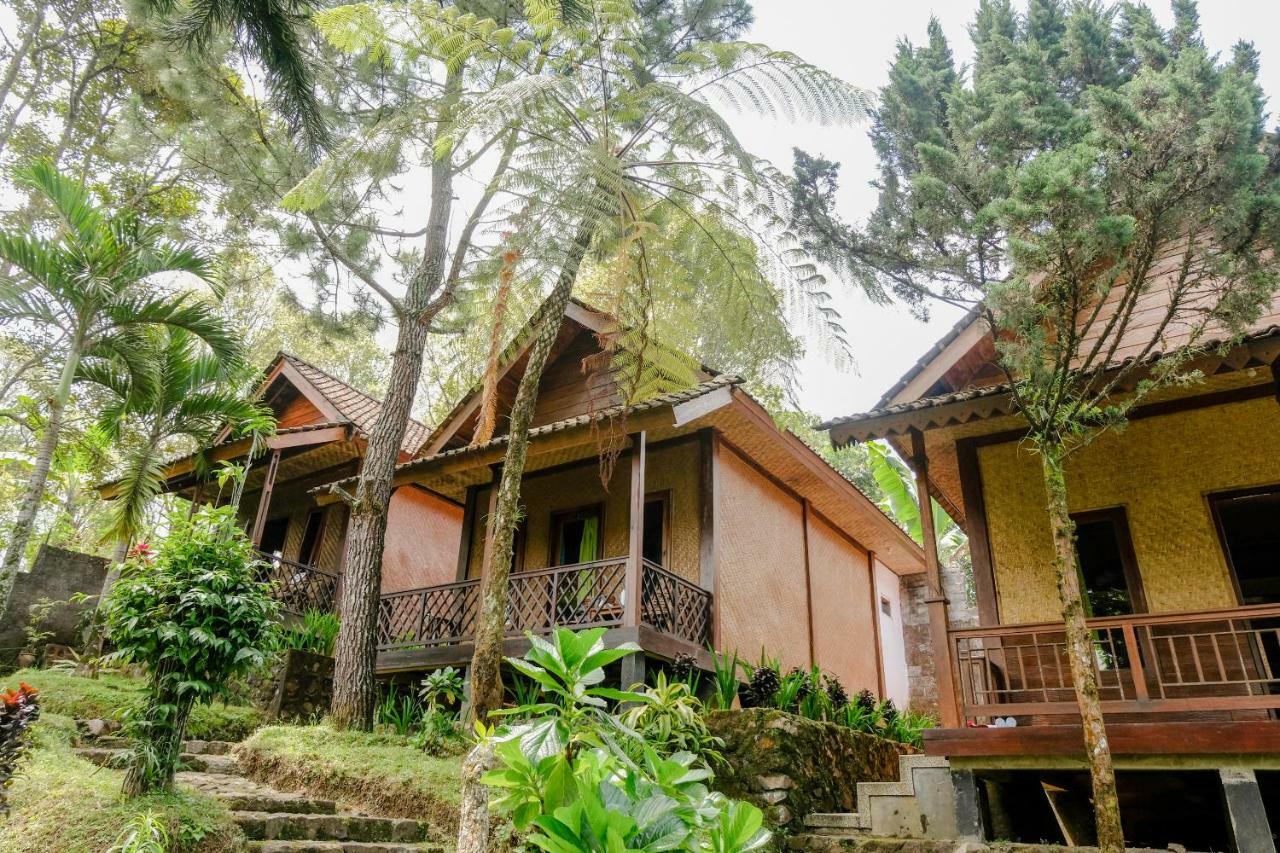 Oyo 1415 Ijen Residence Licin ภายนอก รูปภาพ