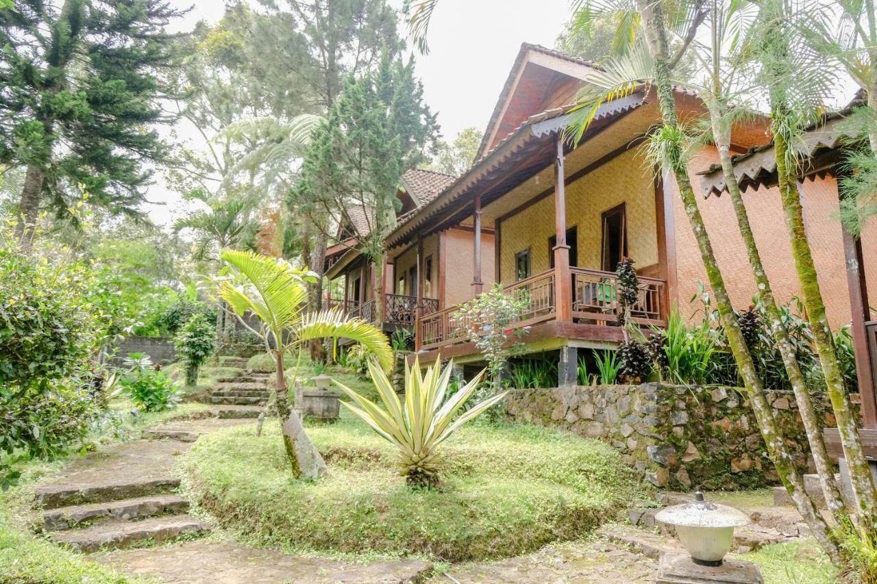 Oyo 1415 Ijen Residence Licin ภายนอก รูปภาพ