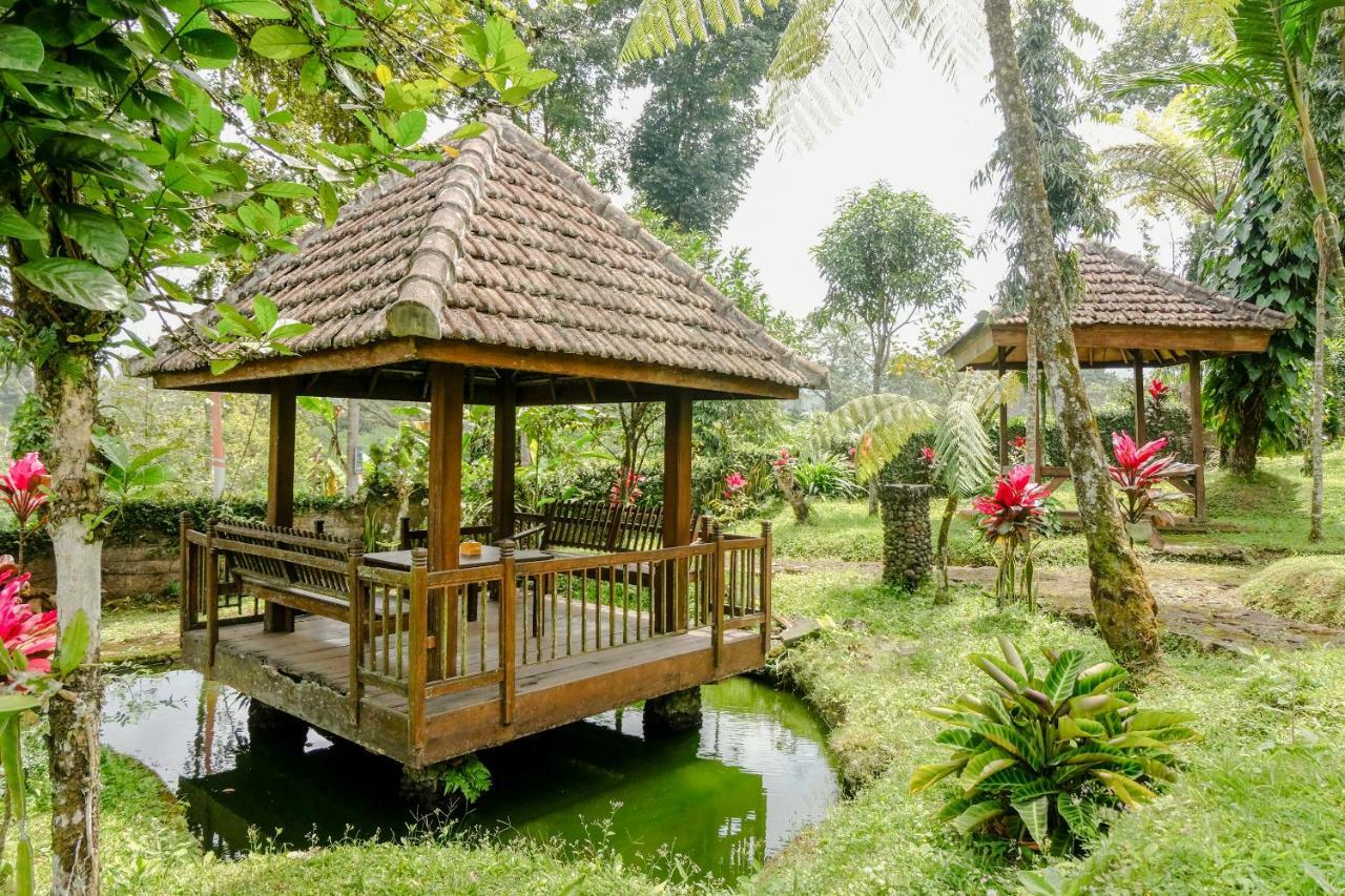 Oyo 1415 Ijen Residence Licin ภายนอก รูปภาพ